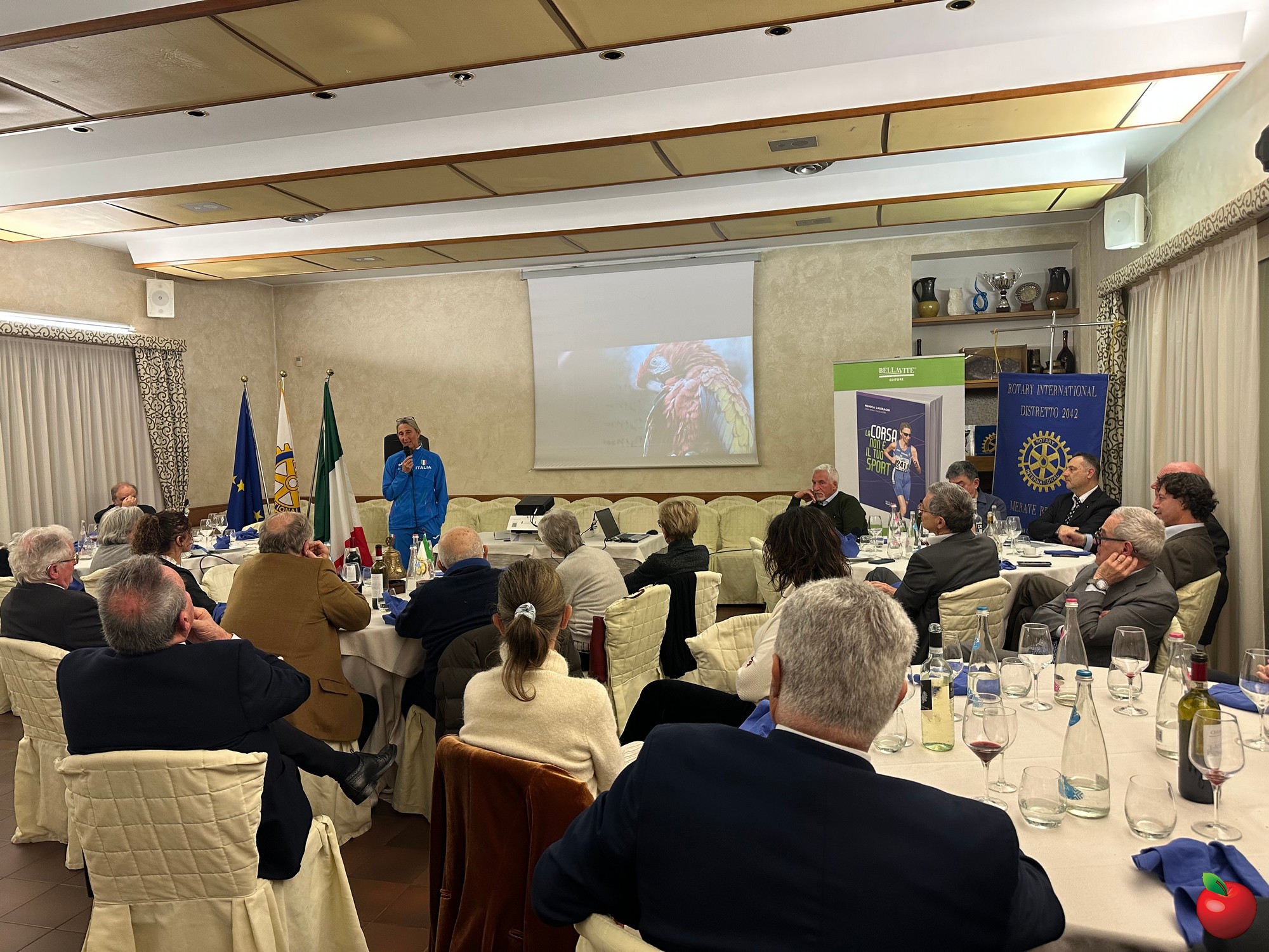 IMG_7738.JPG (719 KB)