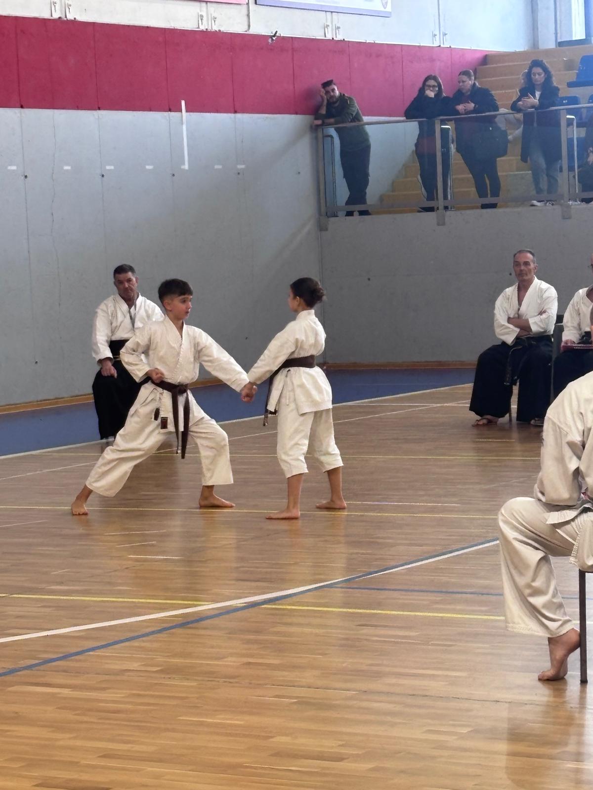 WhatsApp Image 2026-03-19 at 17.45.03.