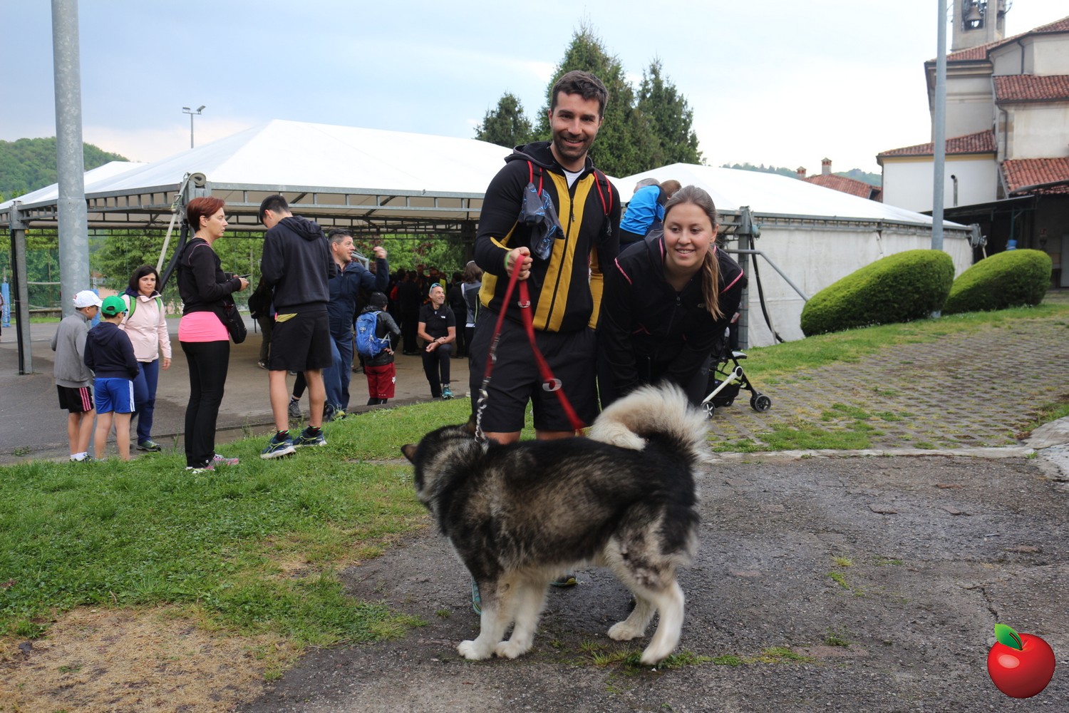 Rovascarpa8.jpg (453 KB)