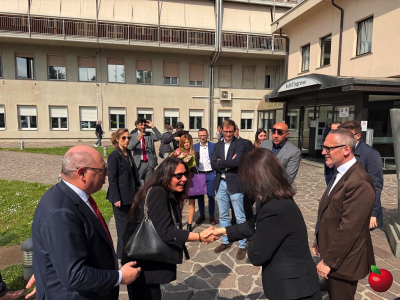 IMG_4620.jpg (146 KB)