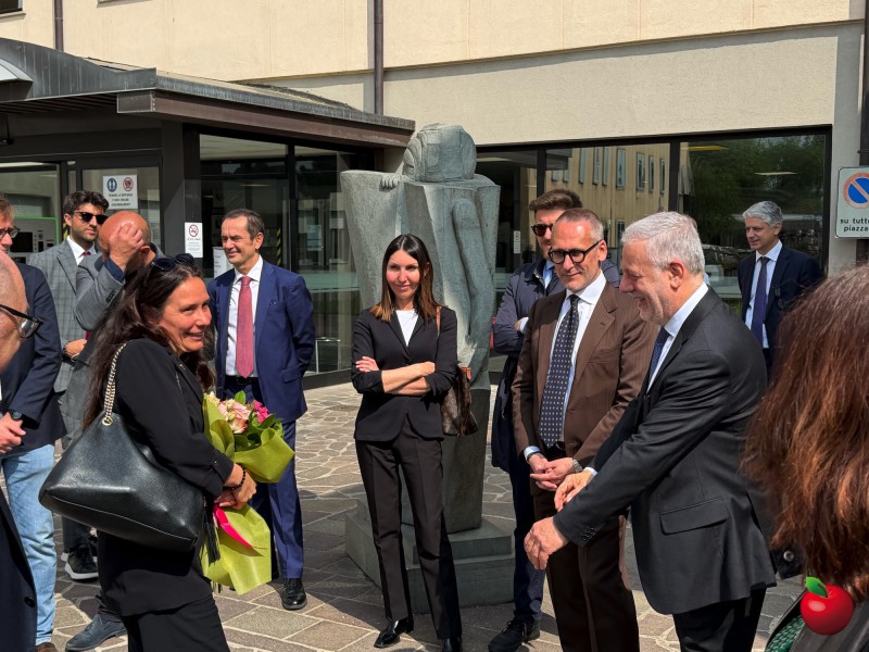 IMG_4625.jpg (135 KB)