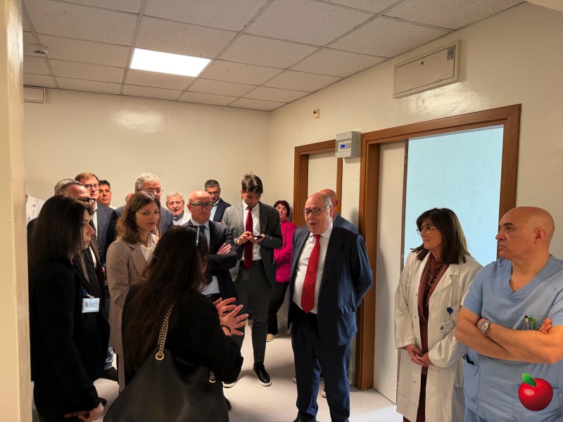 IMG_4668.jpg (99 KB)