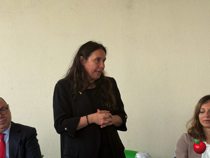 IMG_4778.jpg (114 KB)