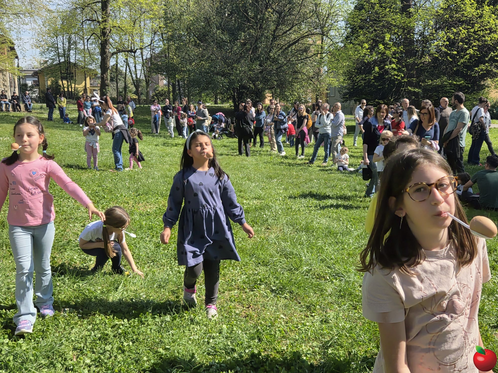 WhatsApp_Image_2026-04-05_at_10.53.27__2_.JPG (981 KB)