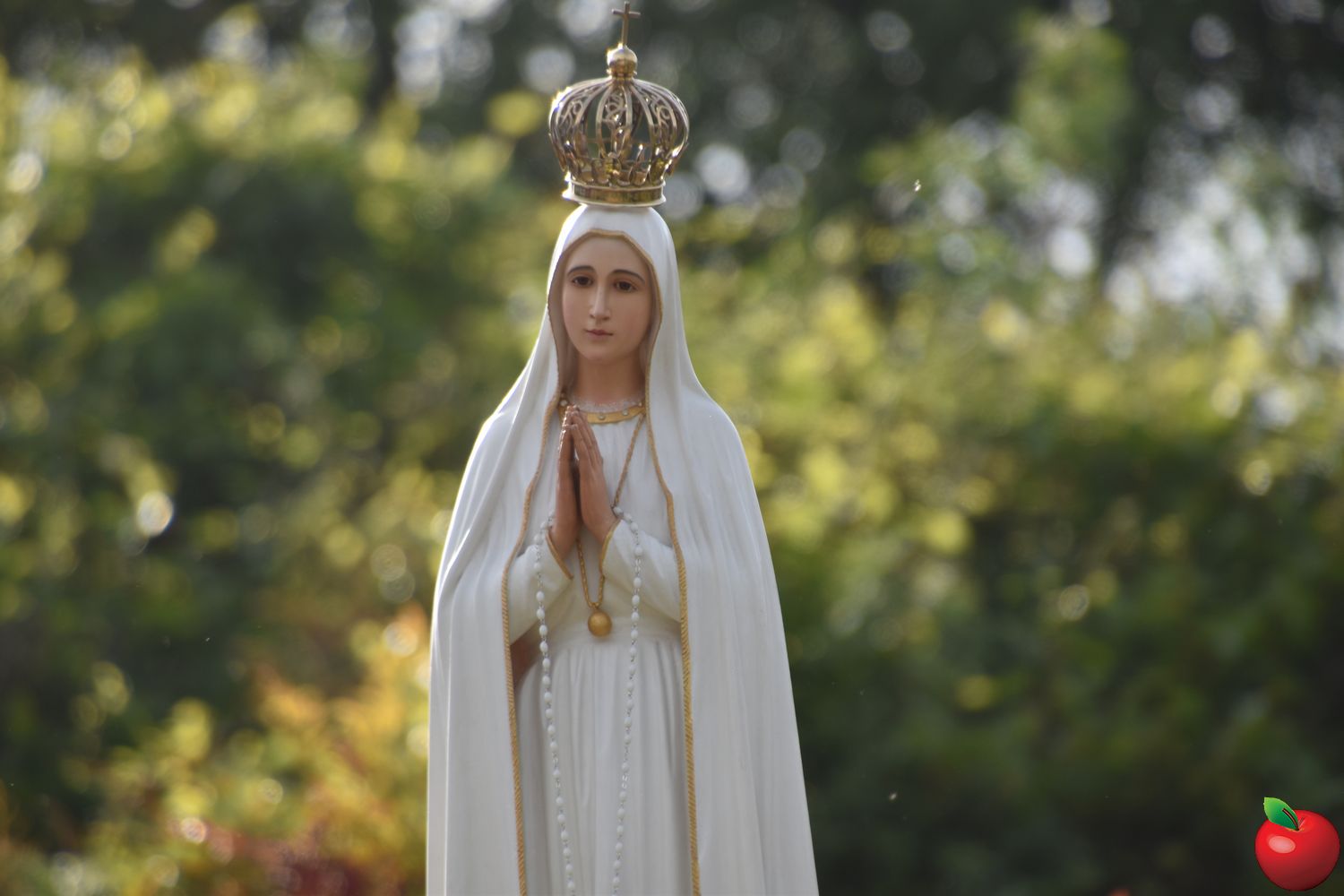 DSC_0962.jpg (170 KB)