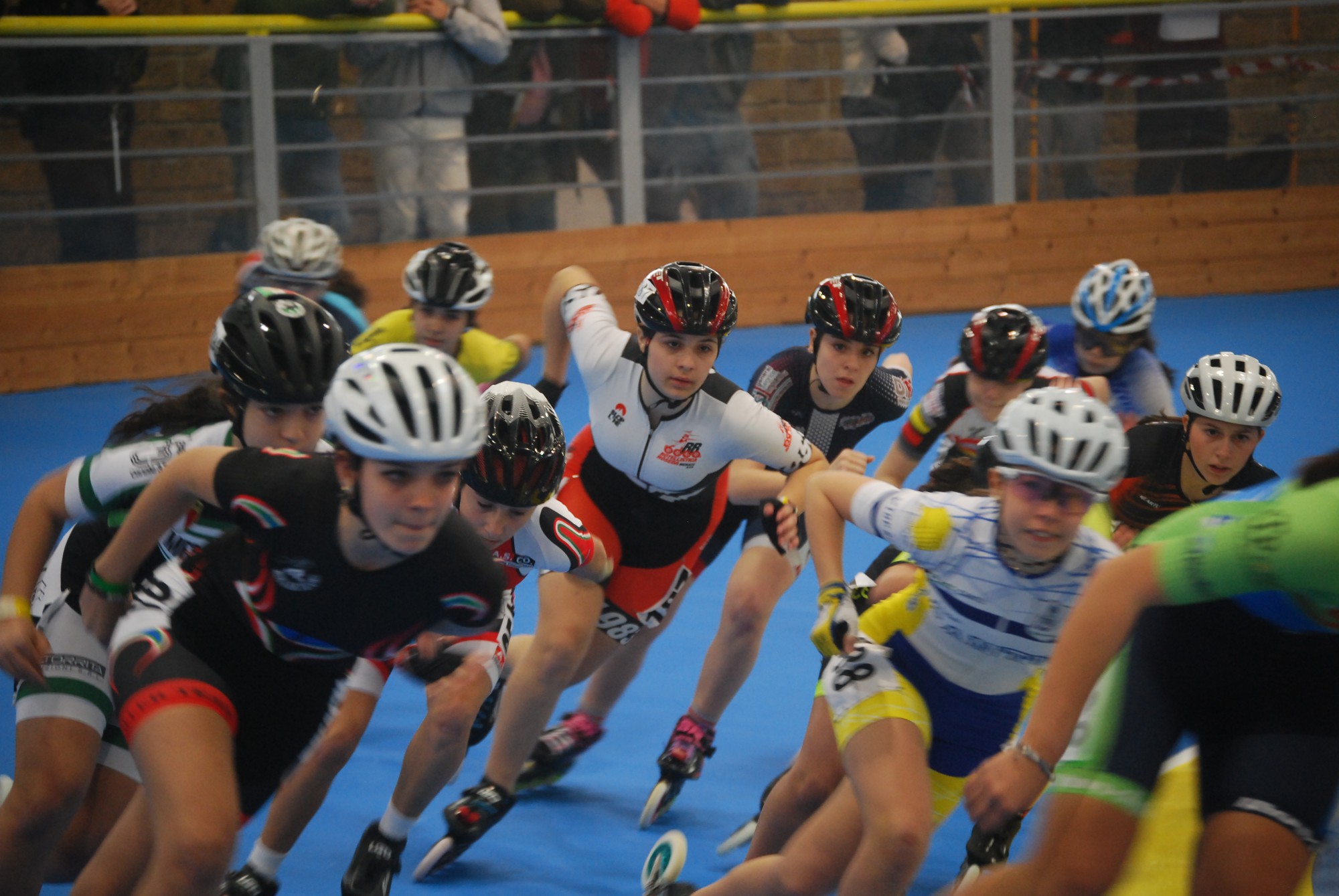 DSC_0209.JPG (384 KB)