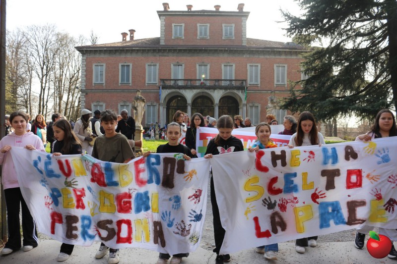 Image00017.jpg (132 KB)