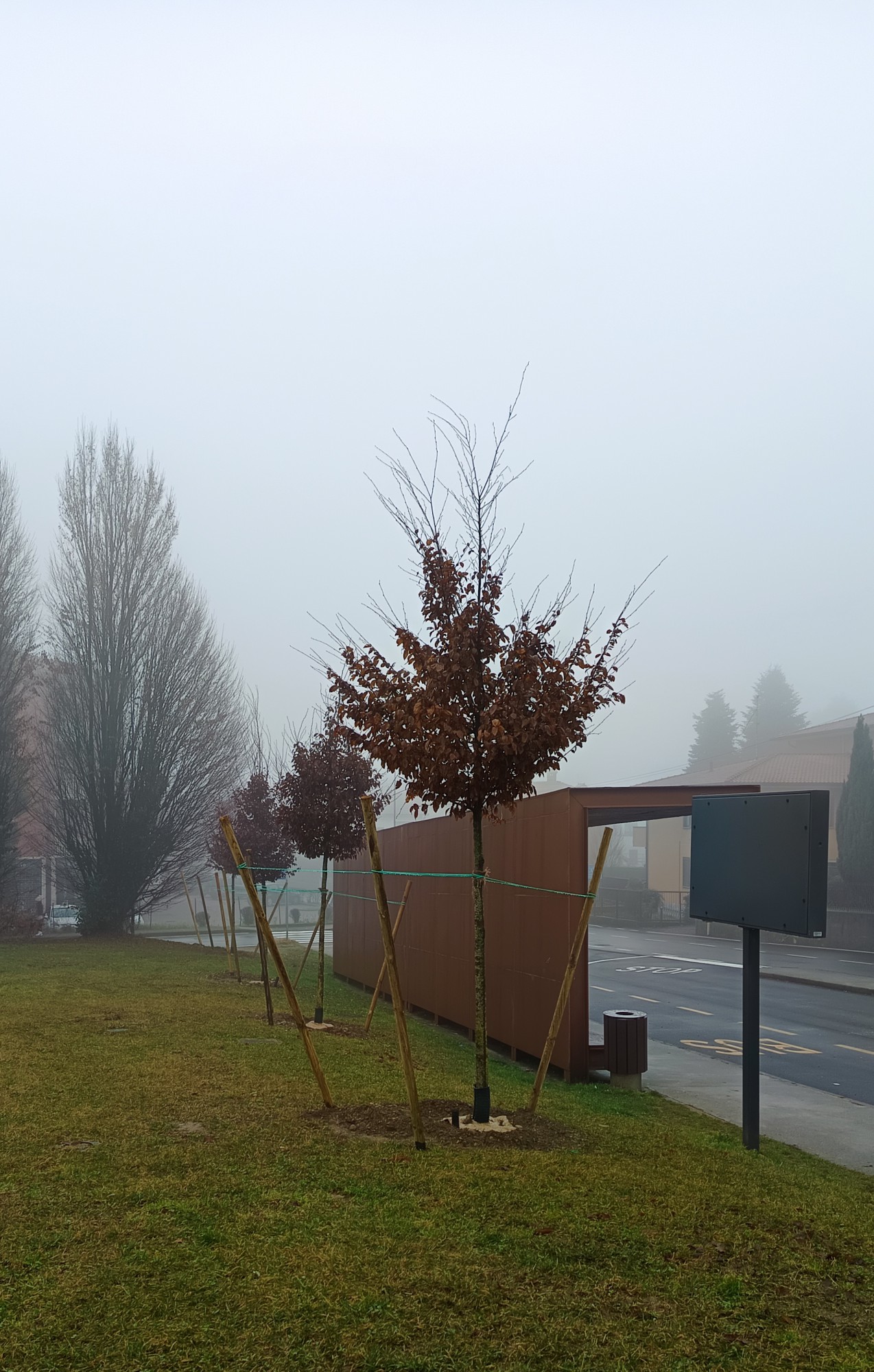 area_mons_basilico_3.jpg (489 KB)