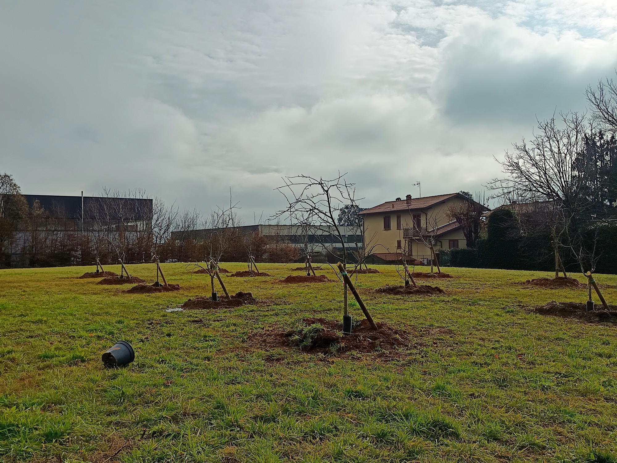 frutteto_brugarolo_4.jpg (973 KB)