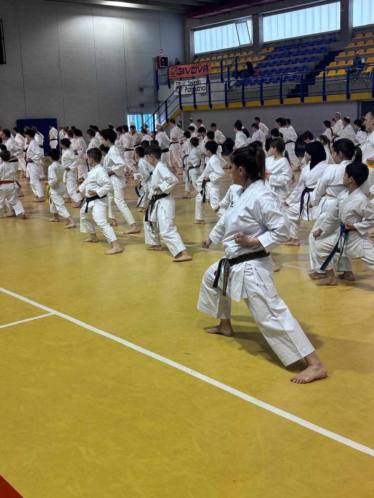 WhatsApp_Image_2026-03-30_at_16.28.25.jpeg (176 KB)