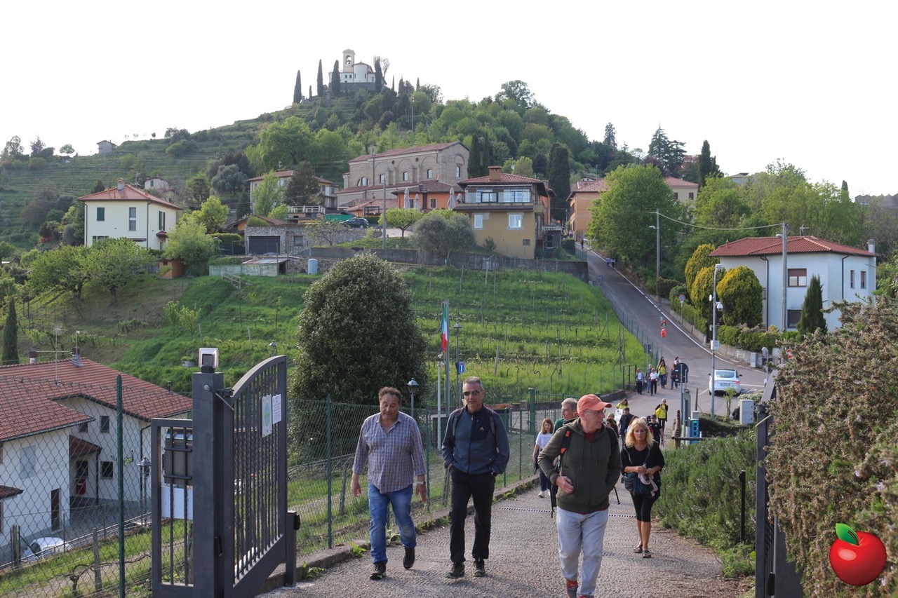 Image00011.jpeg (365 KB)