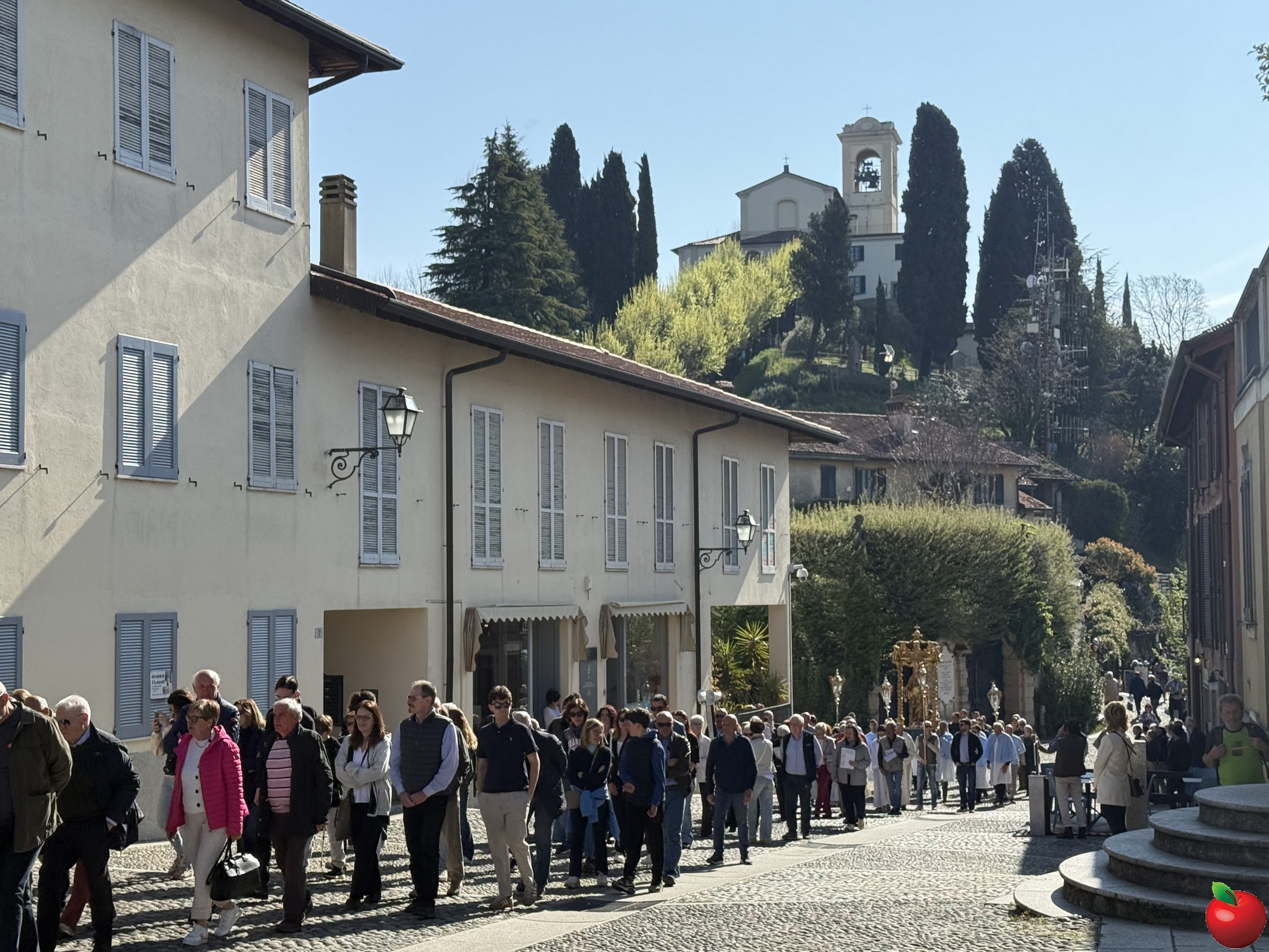 IMG_4546.JPG (706 KB)