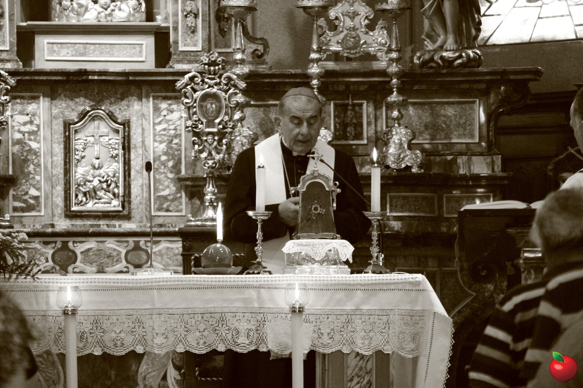 _MG_0862.jpg (712 KB)