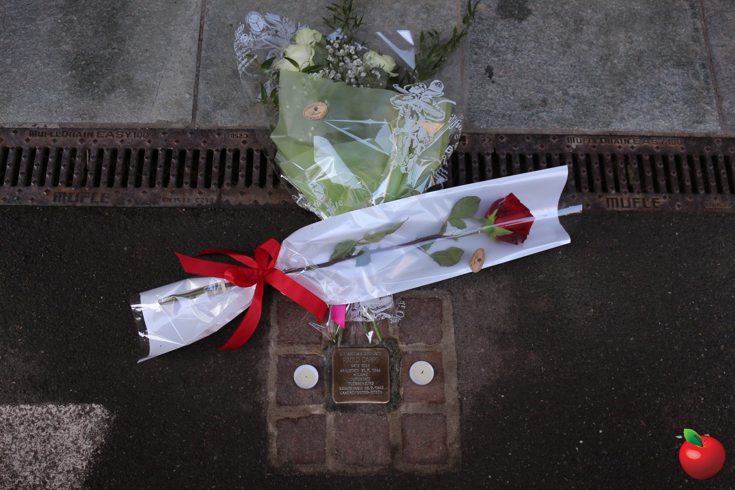 Image00005.jpg (393 KB)