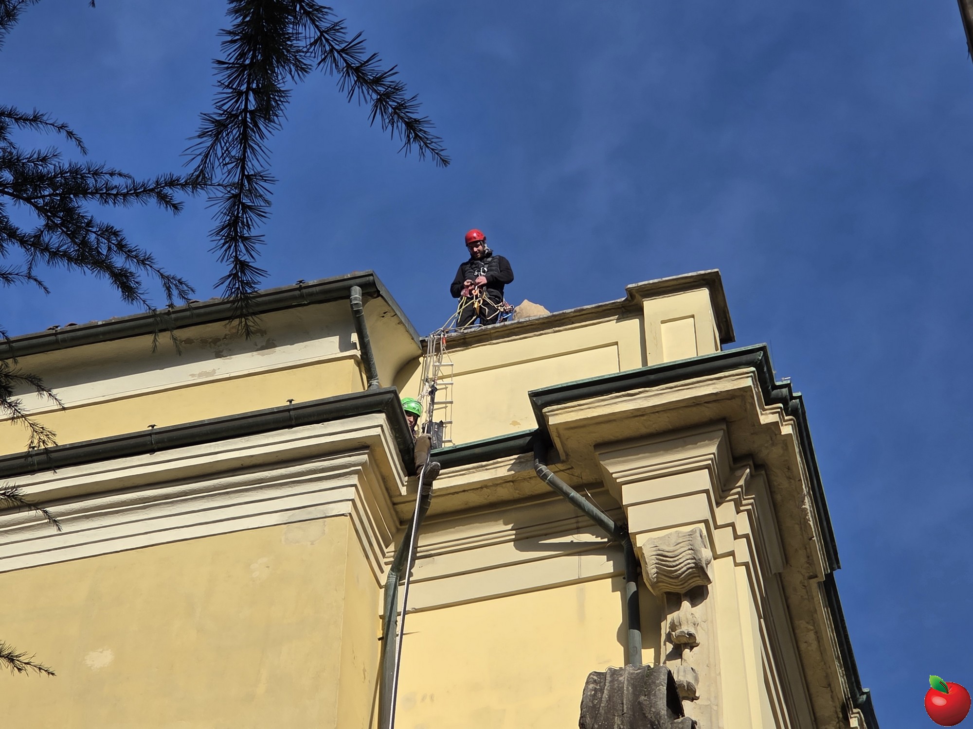 20260106_111353.jpg (527 KB)