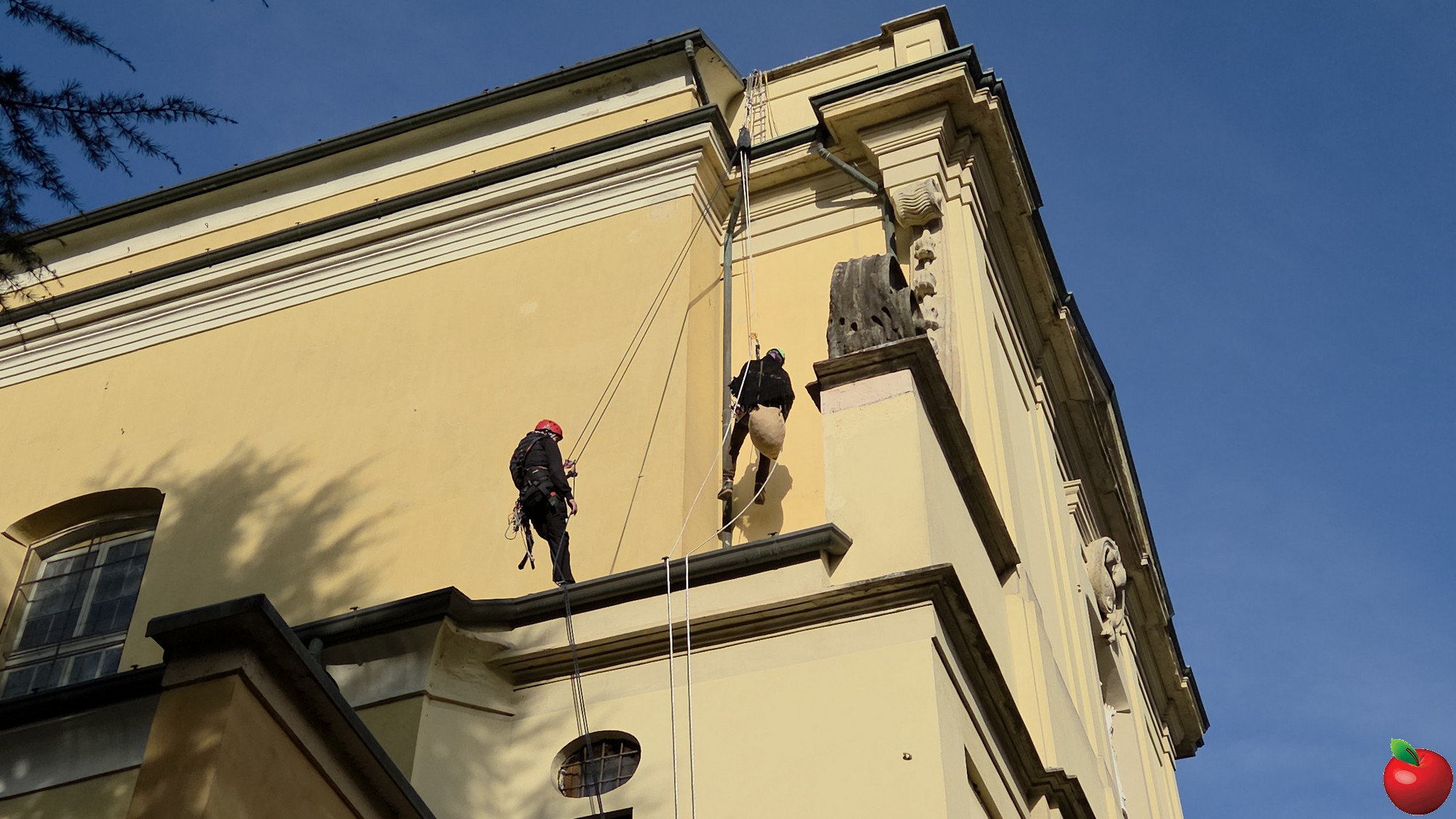 20260106_114233.jpg (370 KB)