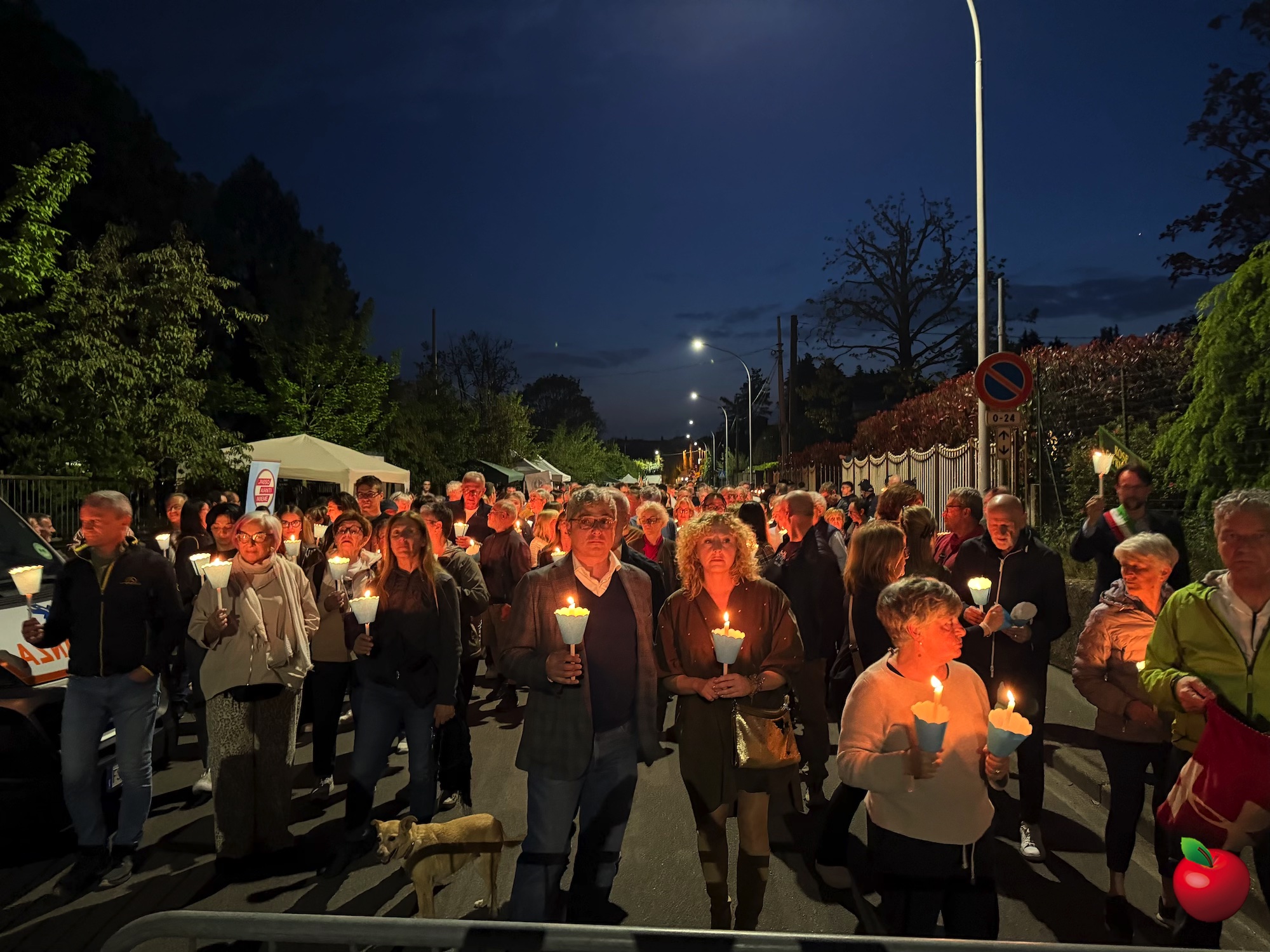 IMG_4449.jpg (778 KB)