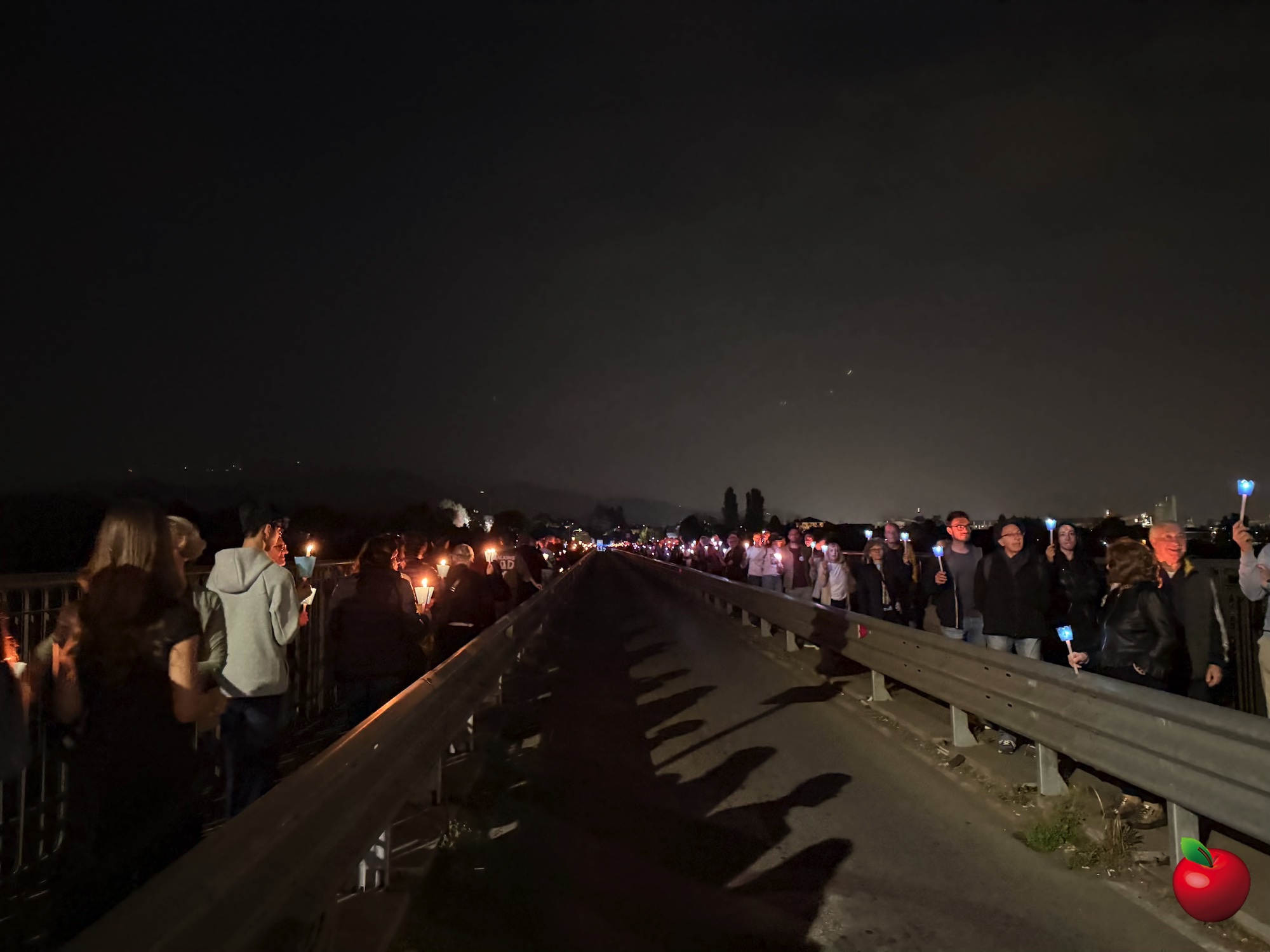 IMG_4525.jpg (365 KB)