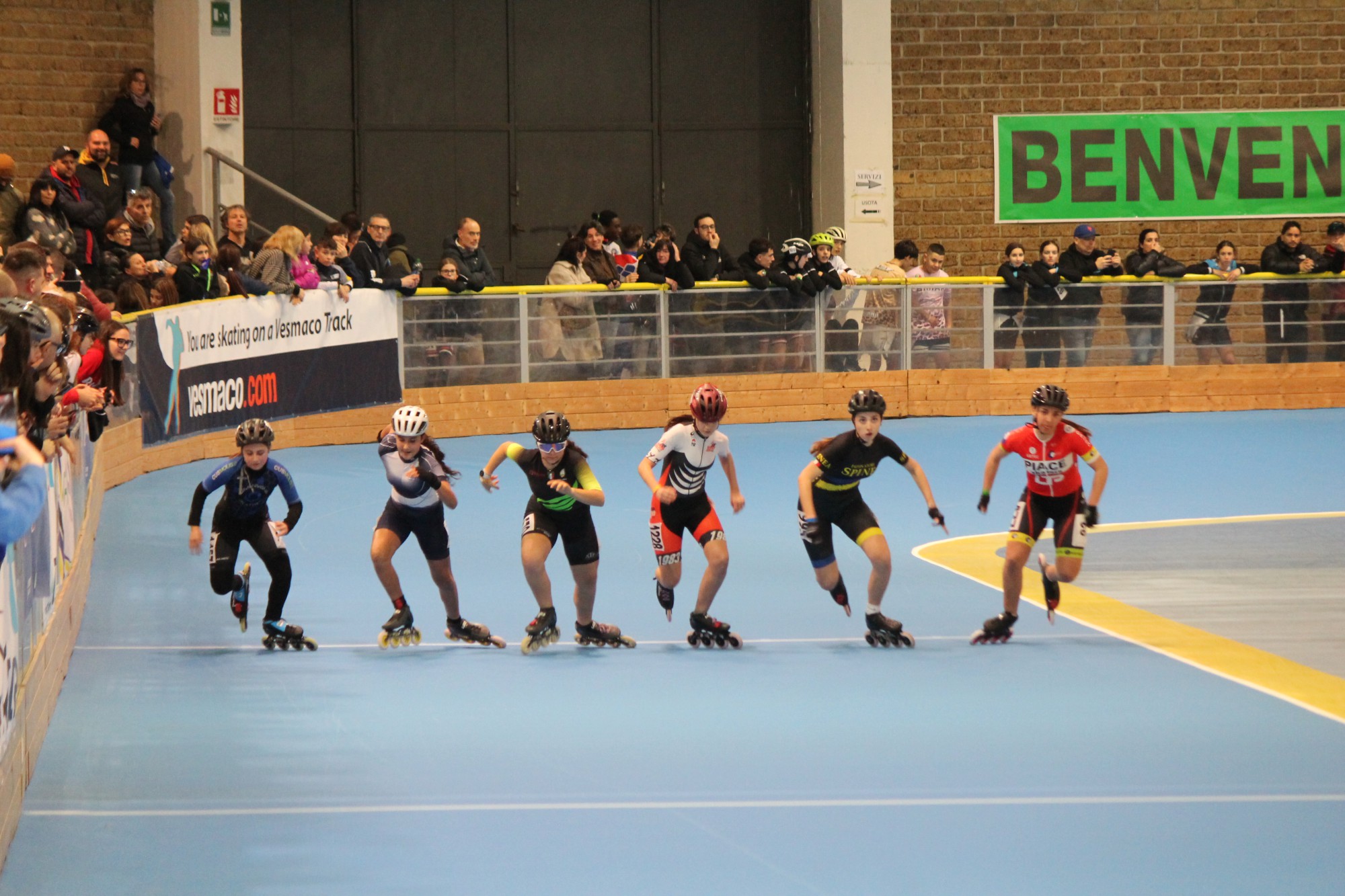 IMG_1250.JPG (453 KB)