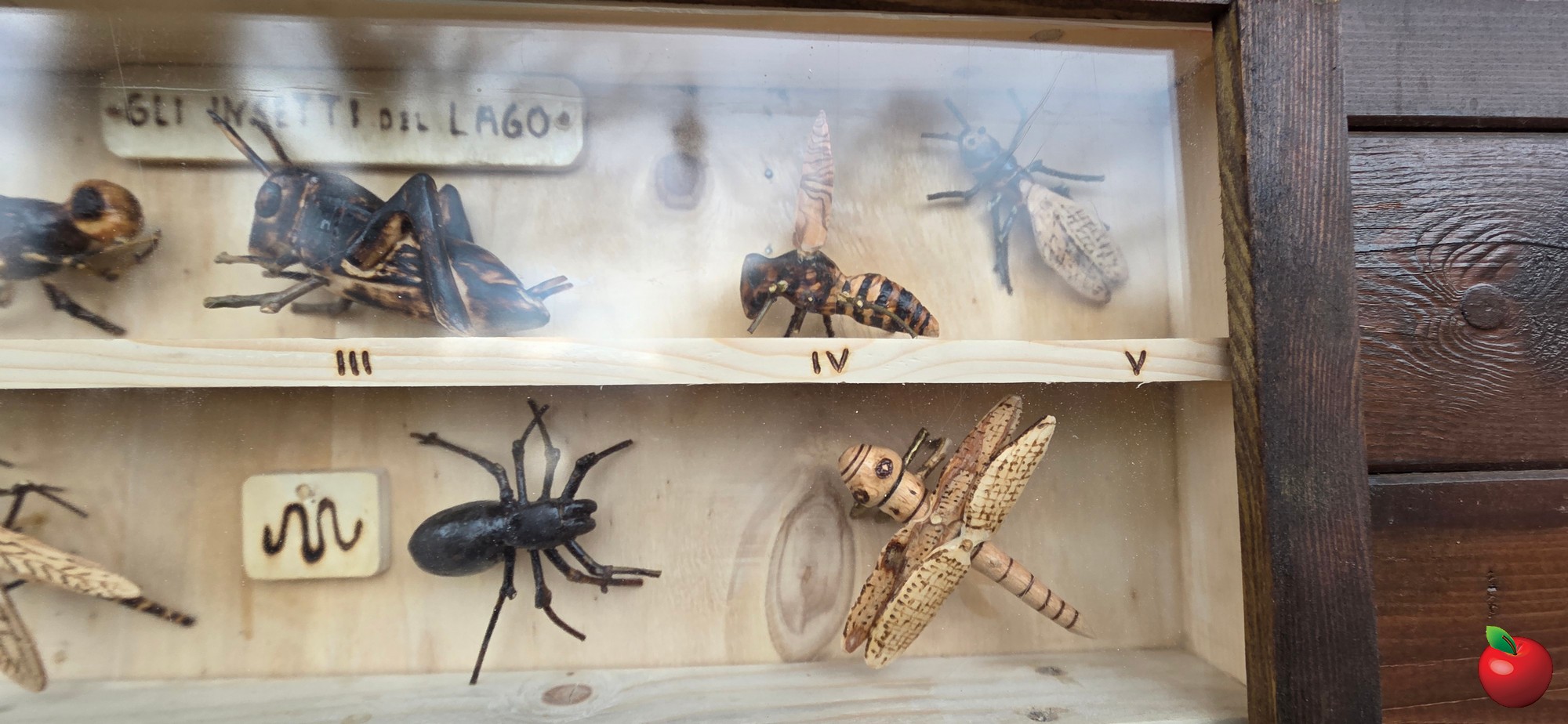 20260209_140851.JPG (387 KB)