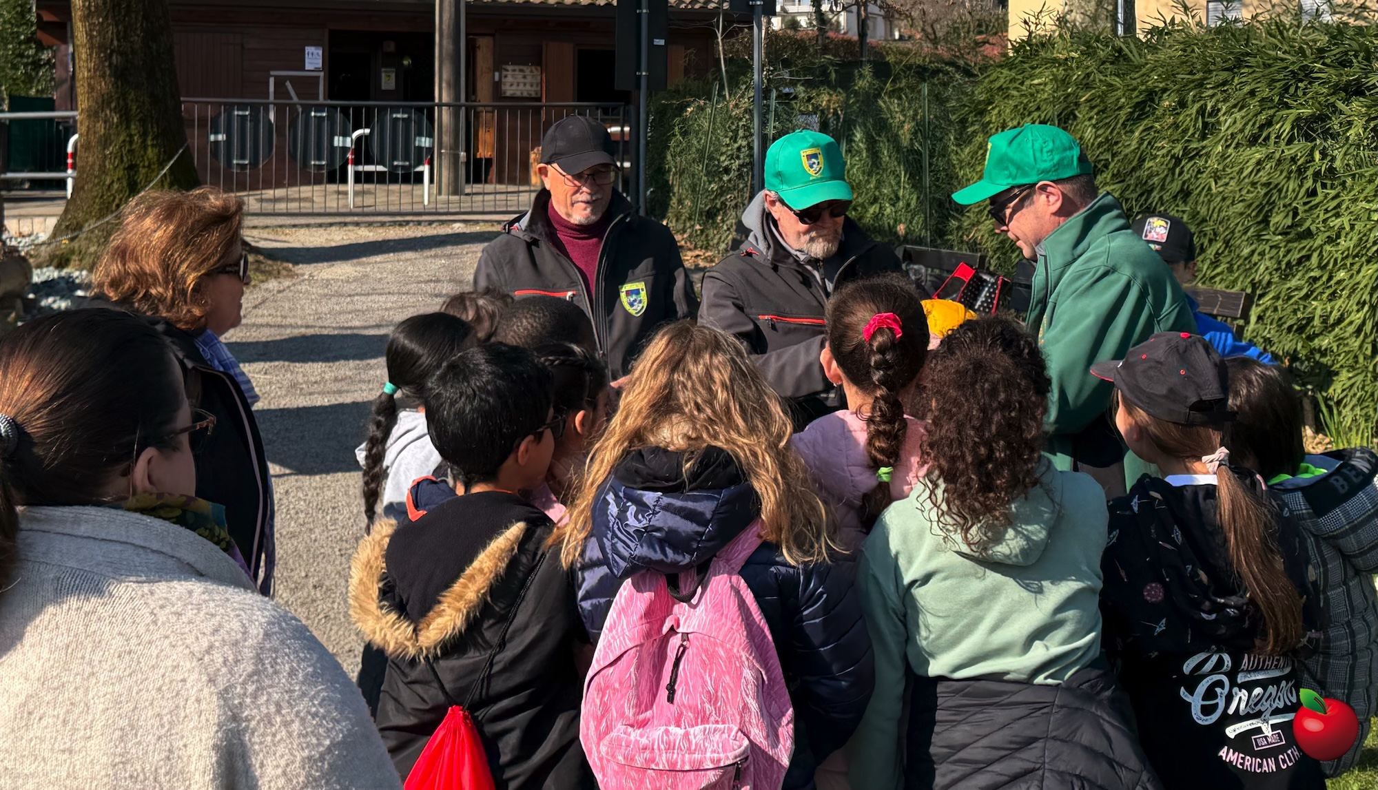 IMG_3122.jpg (952 KB)