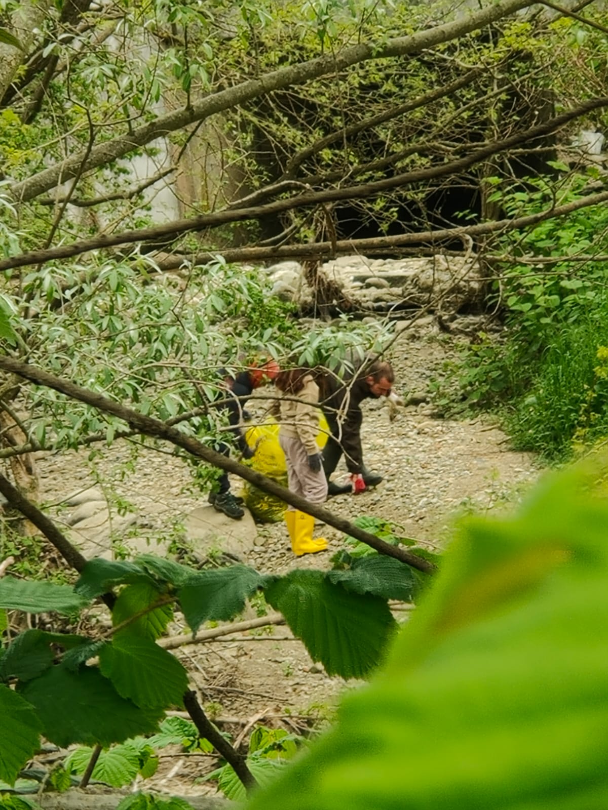 WhatsApp Image 2026-04-13 at 11.01.58  2 .