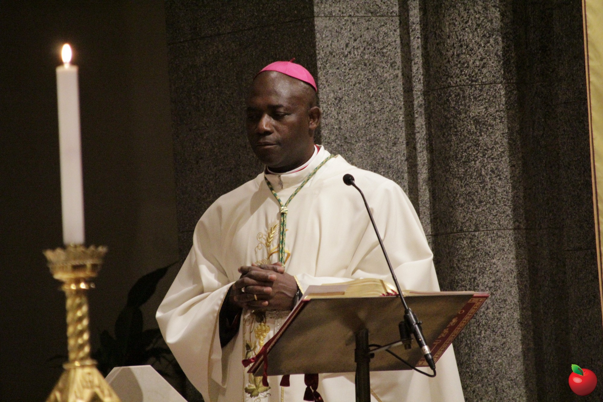 _MG_0389.jpg (630 KB)