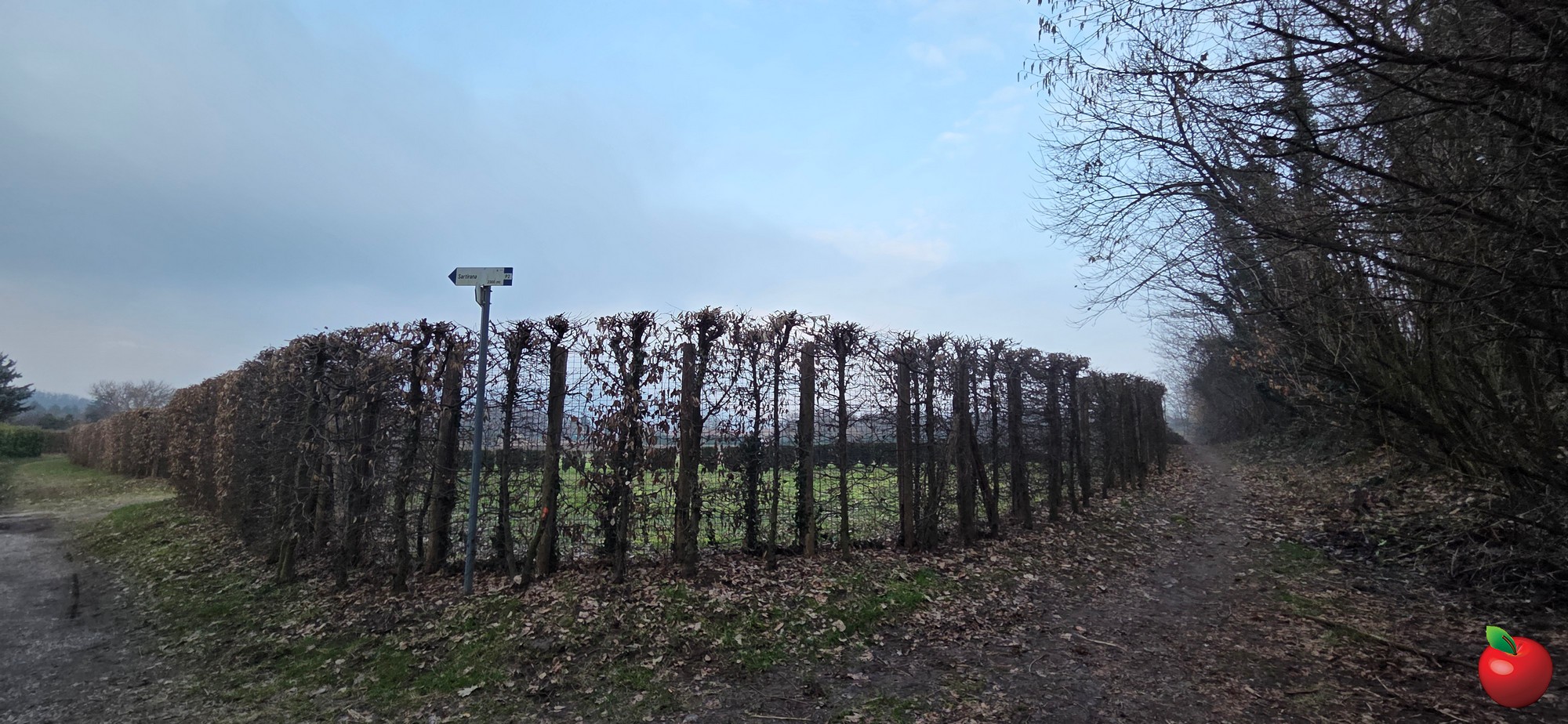 20260208_165838.JPG (580 KB)