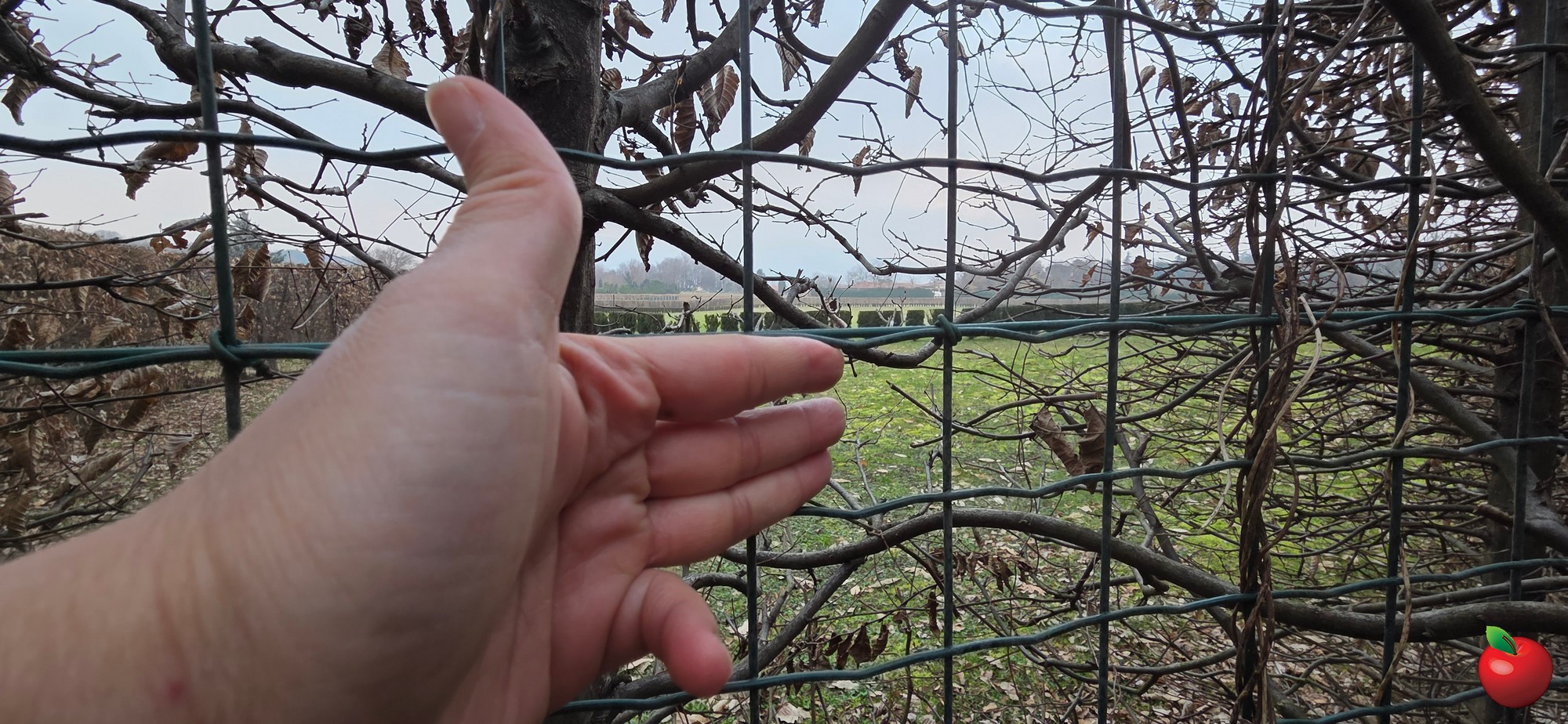 20260208_165856.JPG (653 KB)