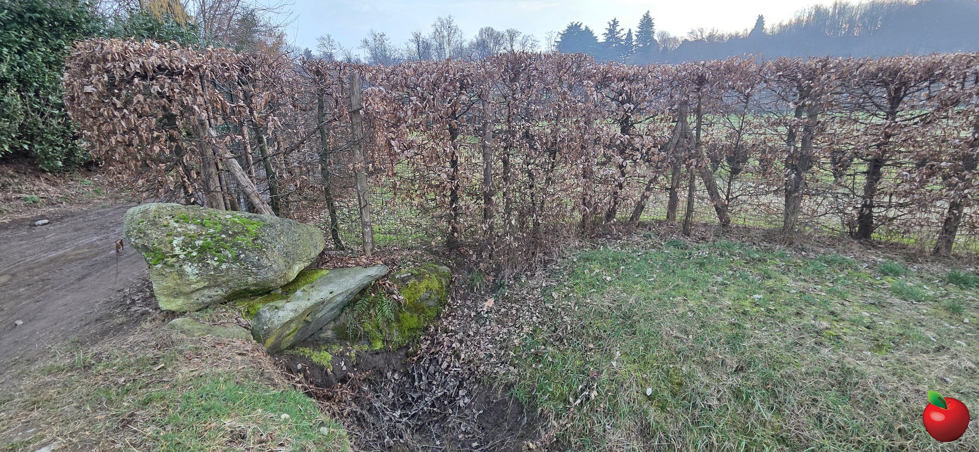 20260208_170521.JPG (979 KB)