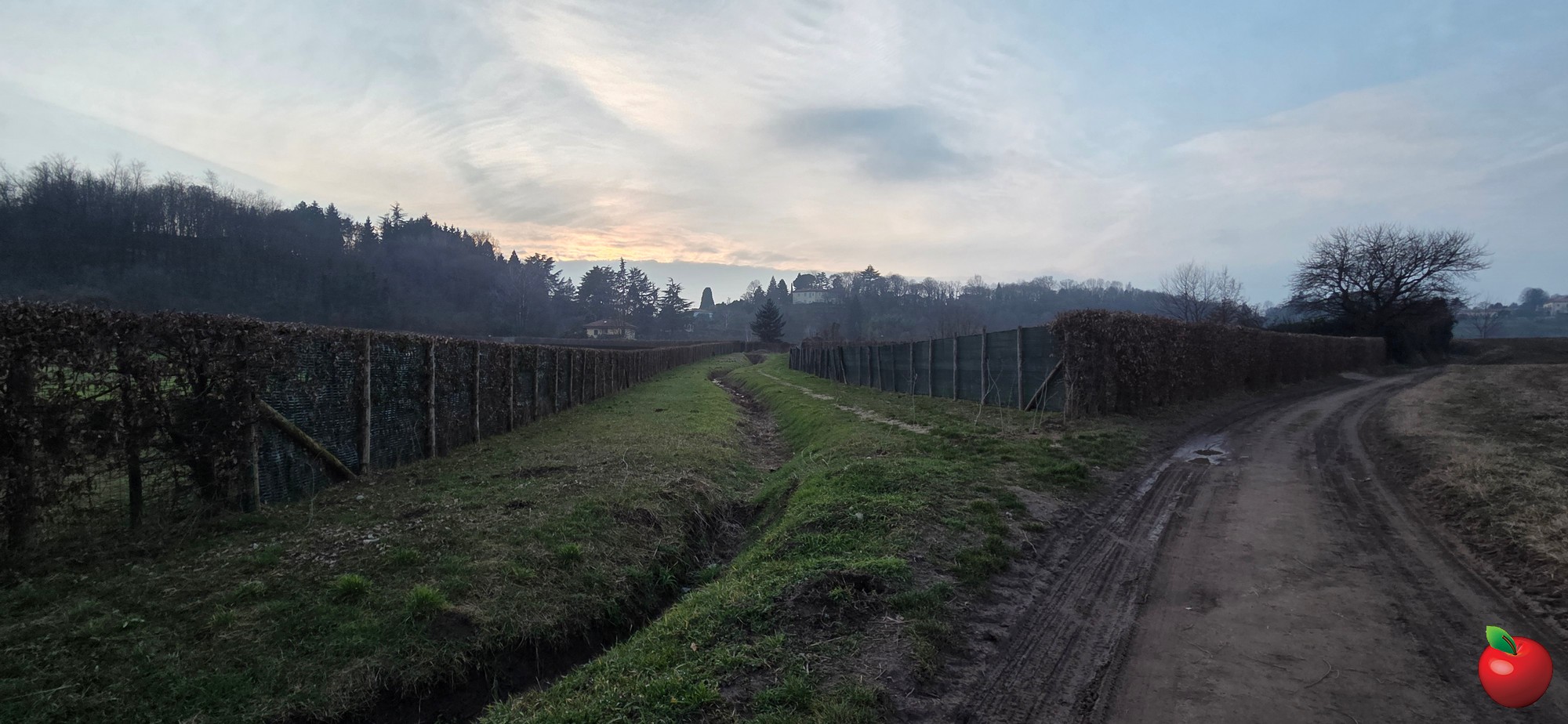 20260208_170759.JPG (413 KB)