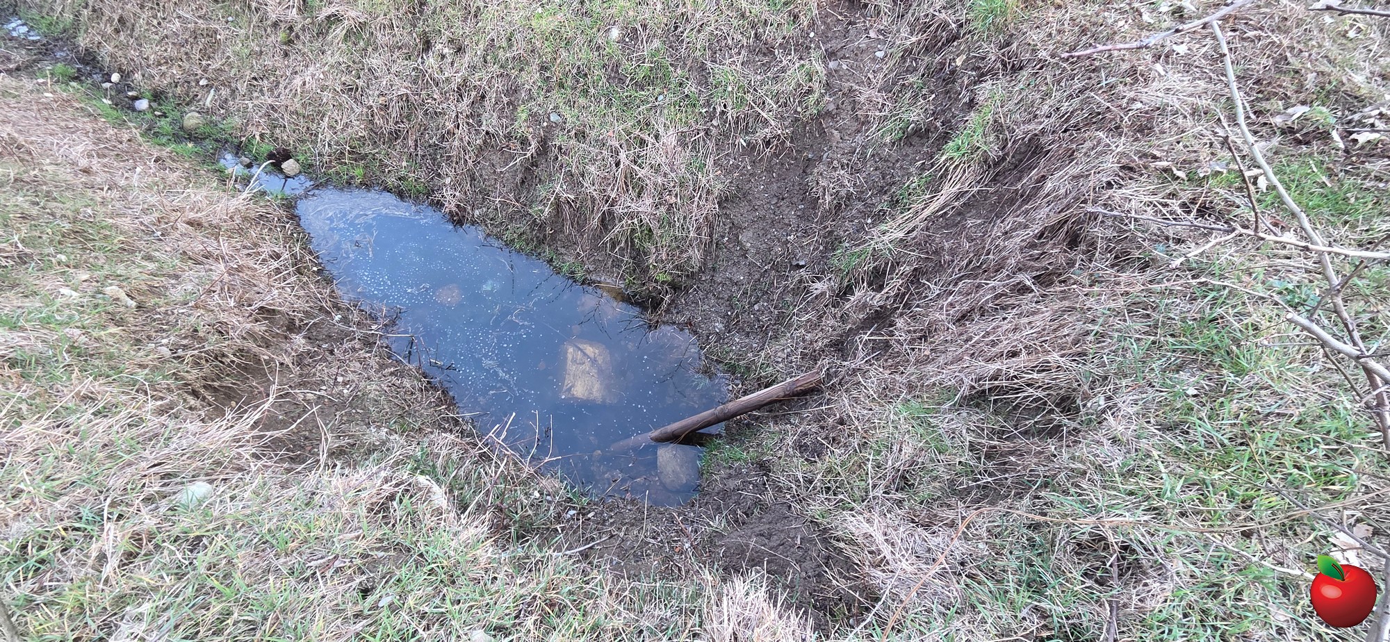 20260208_170945.JPG (1.07 MB)