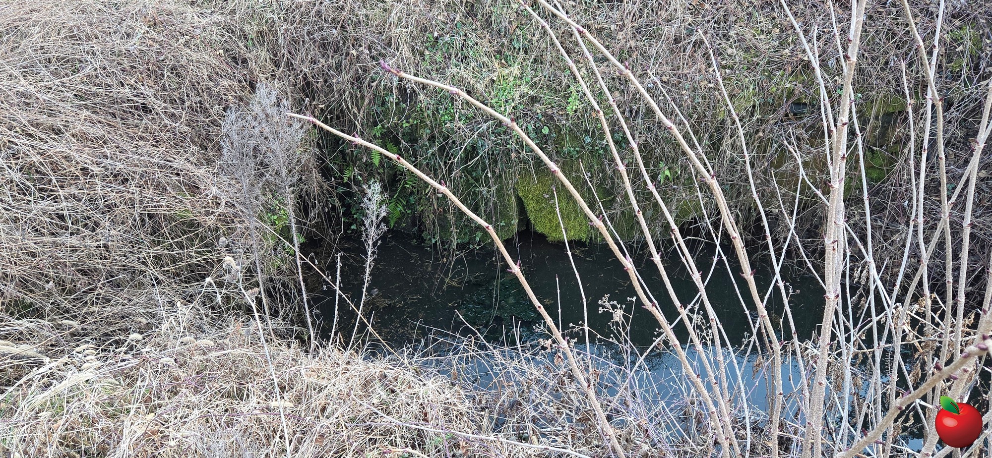 20260208_171021.JPG (1.12 MB)