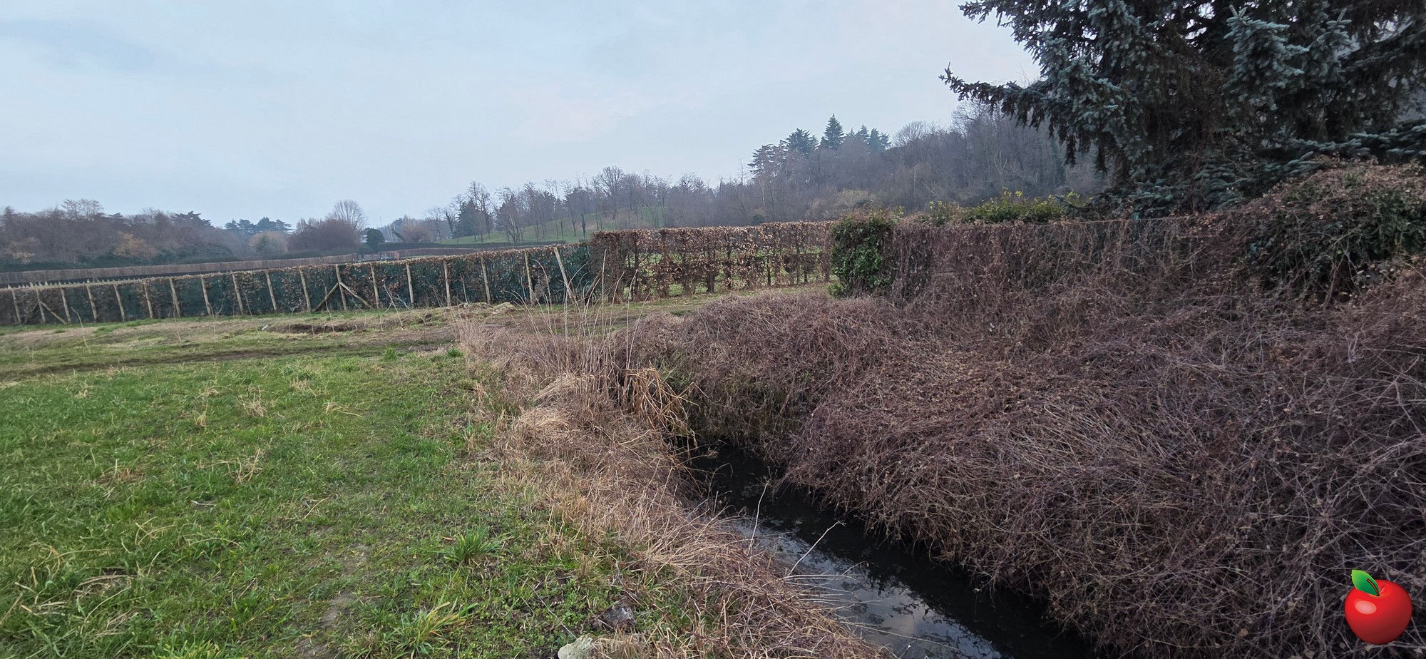 20260208_171034.JPG (692 KB)