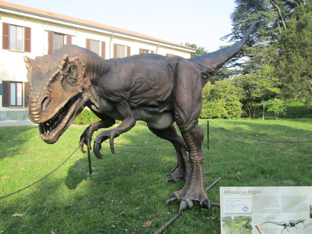 merate osservatorio astronomico mostra dinosauri 09 03 2014 005