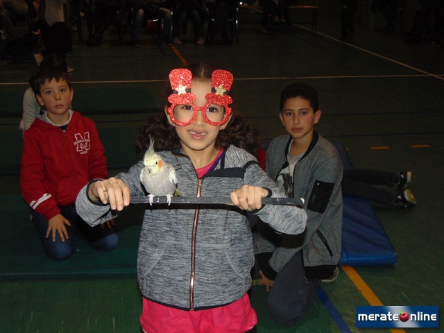 brivio festa 2B 12