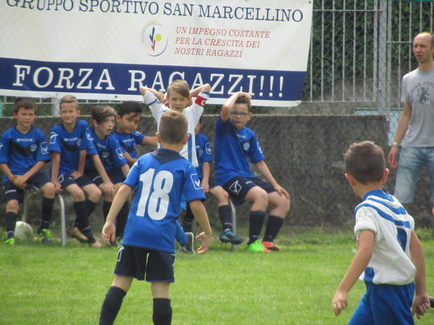 imbersago torneo pulcini 11