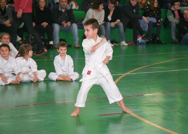 meratekarate 1