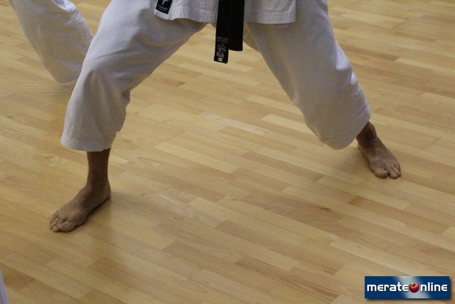 Karate 10