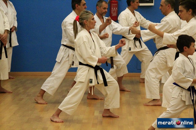 Karate 12
