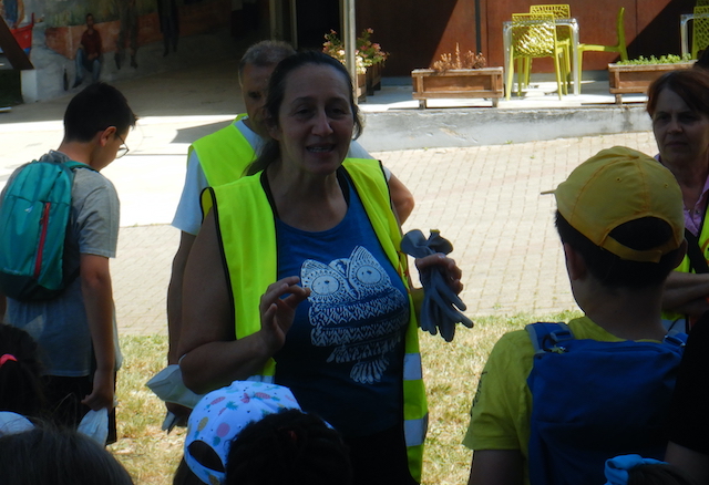 Assessore Tullia Ascari