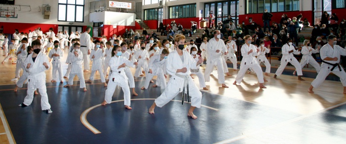 IMG 4191.