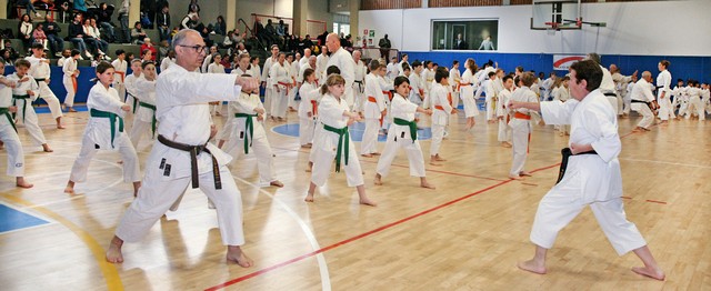 IMG 7519