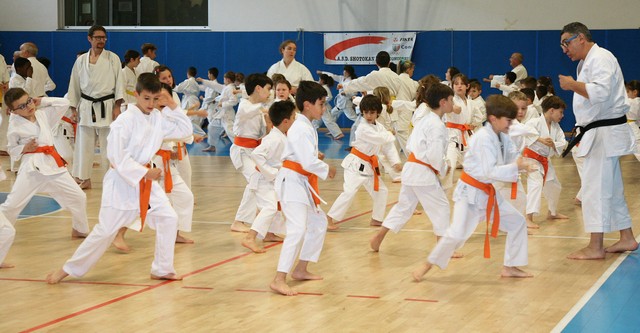 IMG 7597